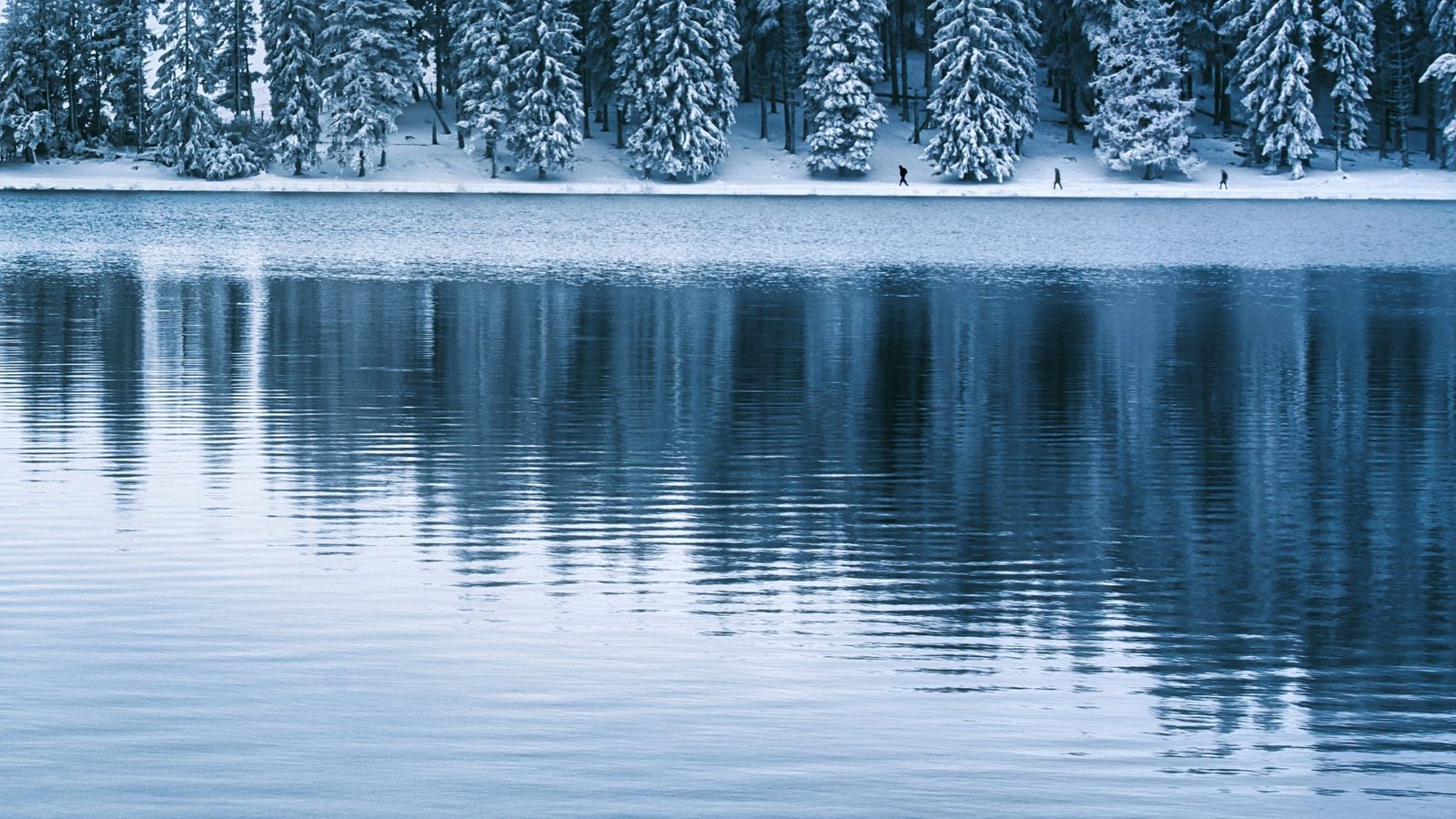 Lac bordé de sapins enneigés, reflets bleutés