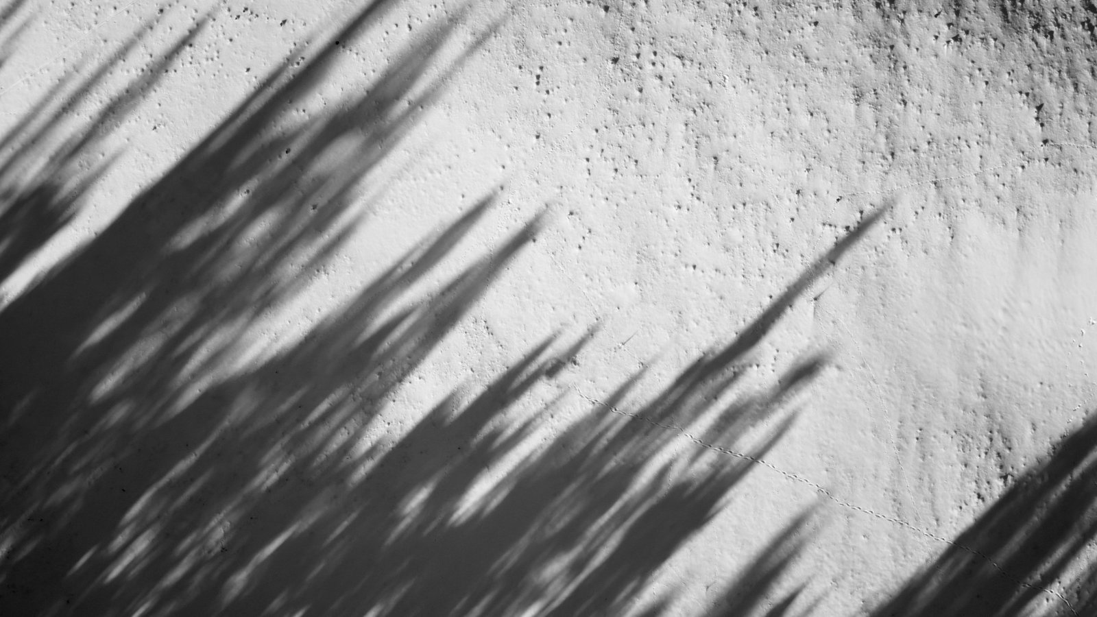 Silhouette et son ombre portée sur un mur, en noir et blanc
