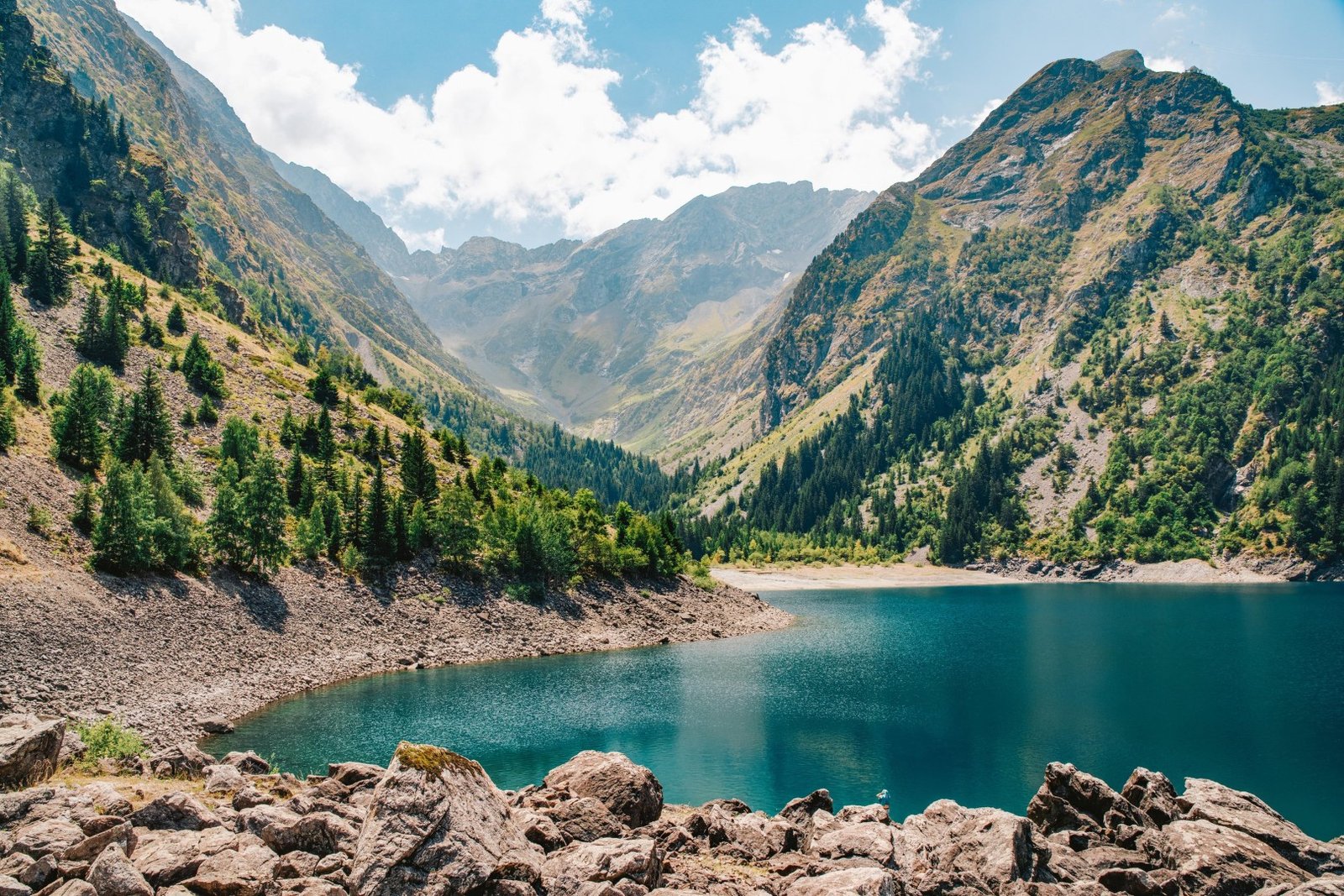 Paysage de montagne avec un lac - illustration composition